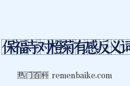 保福寺对橙菊有感反义词是什么意思的图片